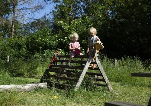 Naturboernehaven-traehest_Skovboernehave_amager_glostrup_koebenhavn_broendby_albertslund.jpg